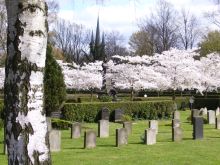 Fössefeld Friedhof Fössefeld Friedhof