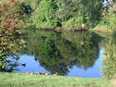 Teich am Lindener Berg