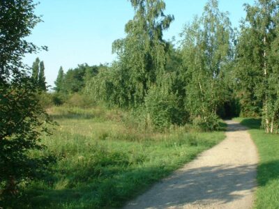 Ruderalfläche