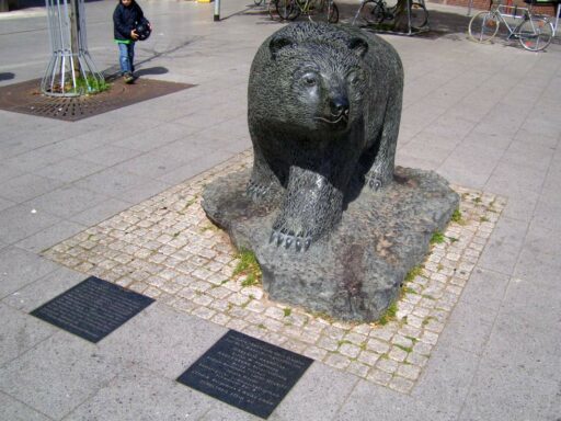 Schwarzer Bär