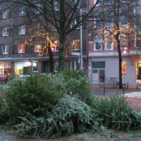 Auch 2021 werden wieder Weihnachtsbäume abgeholt
