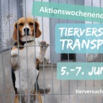 Aktionswochenende: Tierversuche und Transporte stoppen