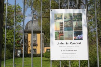 Linden im Quadrat