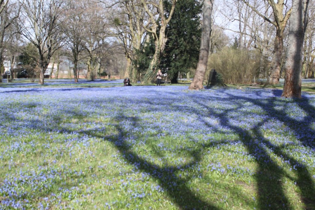Alles blau auf dem Bergfriedhof