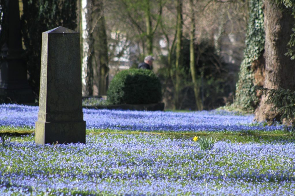 Blaues Wunder