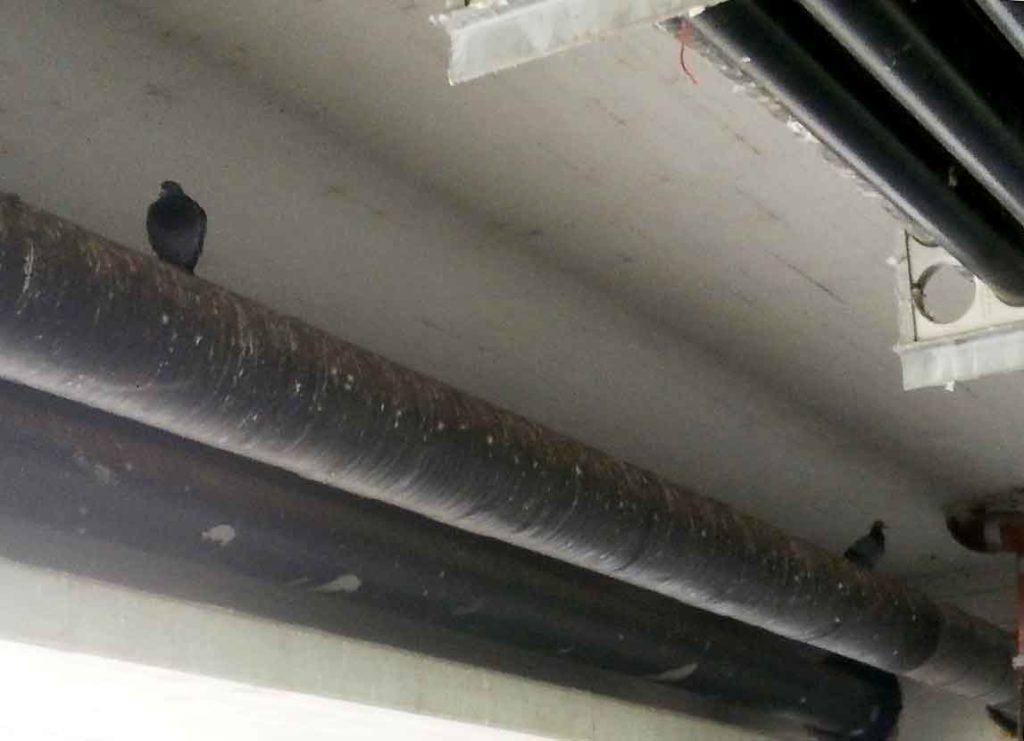 Leinertbrücke von unten