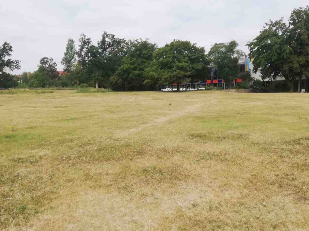 Fössebad Wiese