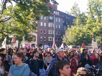 Fridays for Future 2