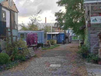 PLATZprojekt Elefant