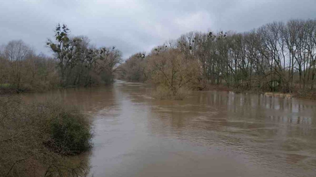 Leine / Ihme Hochwasser 2020 1