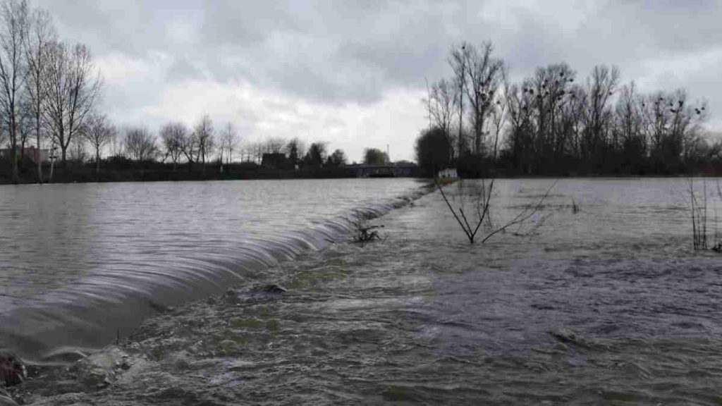 Leine / Ihme Hochwasser 2020 3