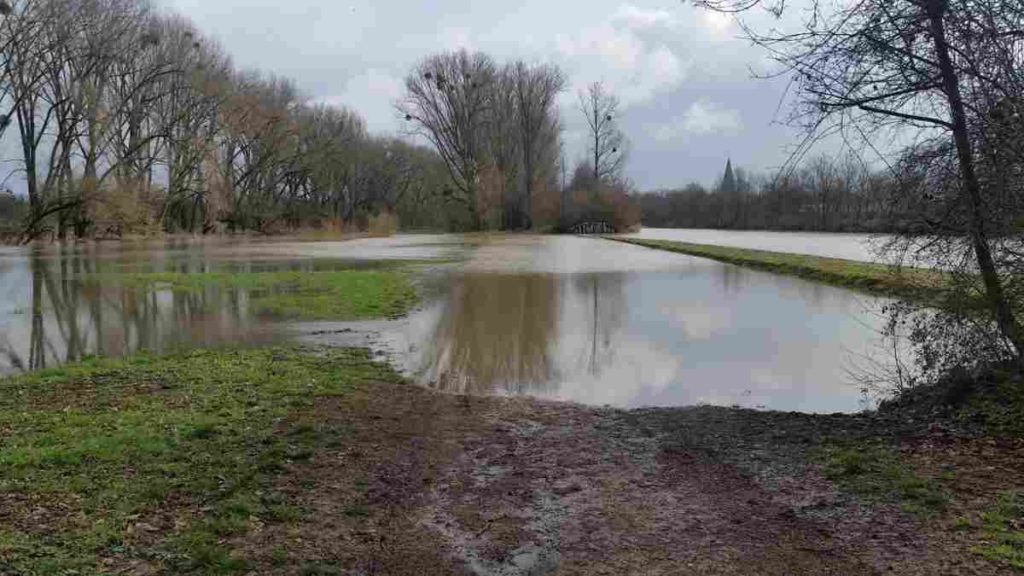 Leine / Ihme Hochwasser 2020 7