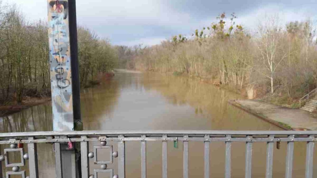 Leine / Ihme Hochwasser 2020 9