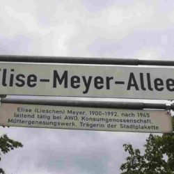 Elise-Meyer-Allee