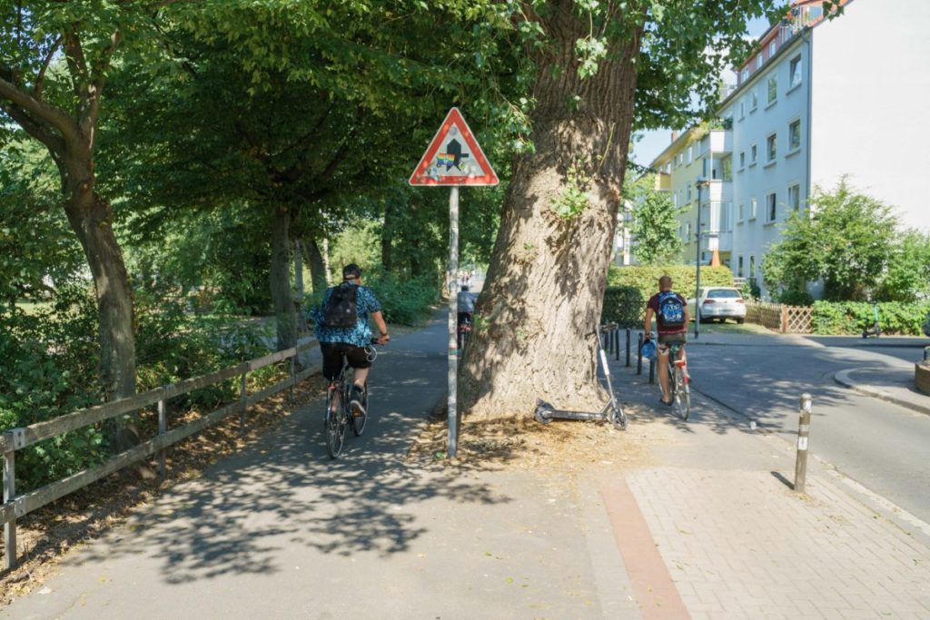 Baum Radweg Brackebuschstraße