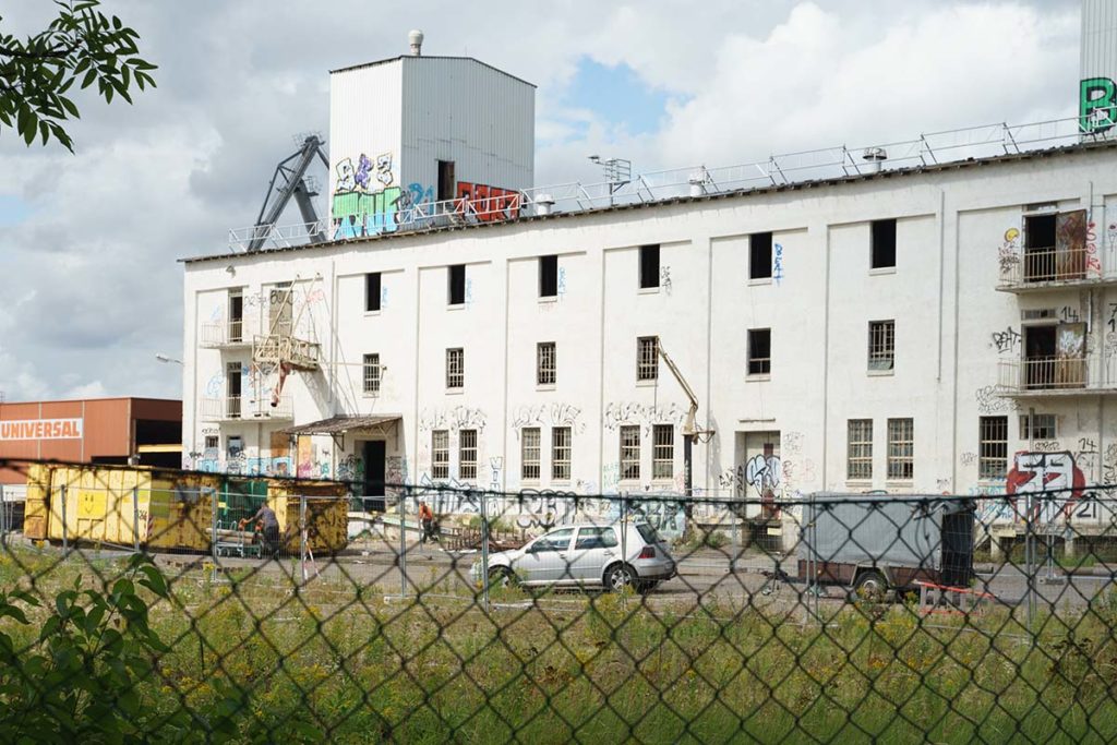 Blick über den Zaun