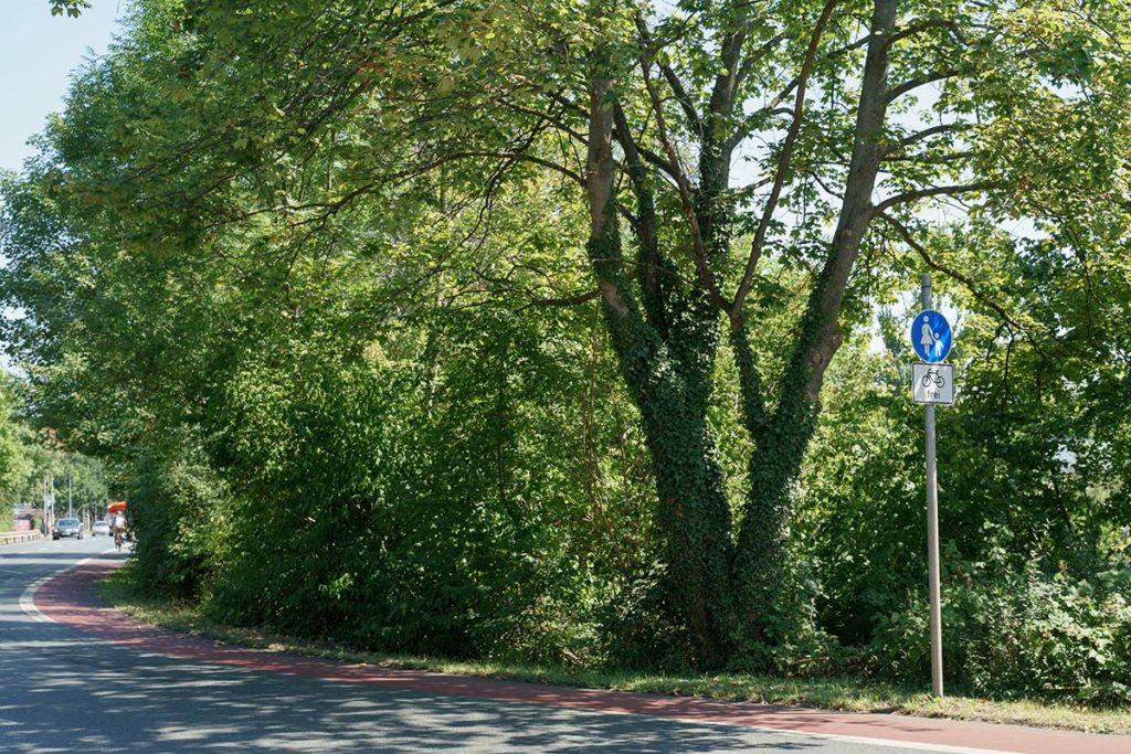 Behelfsweg Seitenansicht