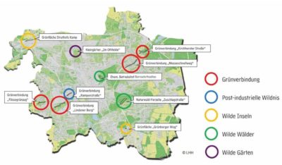 Städte wagen Wildnis-Flächen in Hannover 2020