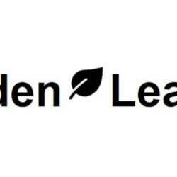Chorgruppe Linden Leaves