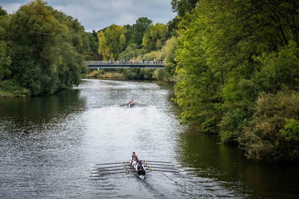 Ruderer auf der Leine in Hannover