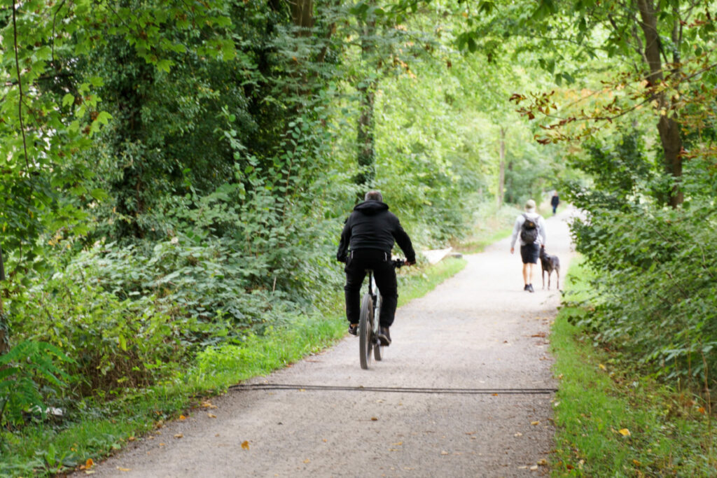 Radfahrer passiert Zählanlage