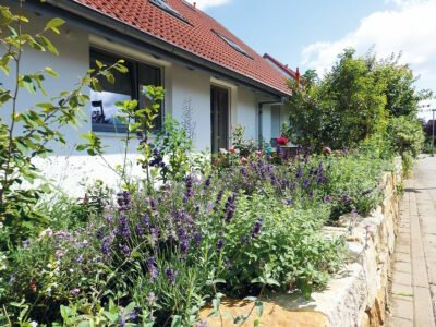 GartenLust Einfamilienhhaus-Vorgarten 2023