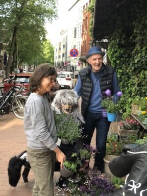 Indigo-Blumen erfreuen das Herz