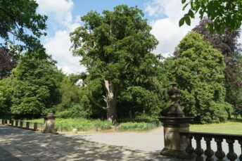 Von-Alten-Buche Von-Alten-Garten