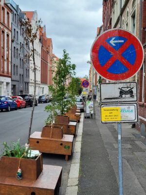 Wanderbäume Grotestraße