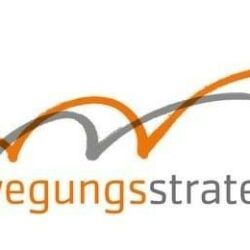 diebewegungsstrategen Logo