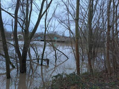 Hochwasser Wasserkunst, 22.12.2023, 16 Uhr