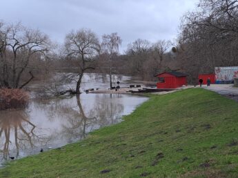 Ihme am Strandleben 22.12.2023, 16 Uhr