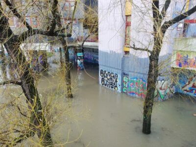 Ihme am Ihme-Zentrum 24.12.23