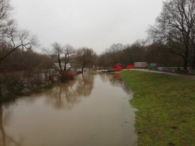 Strandleben Wiese 24.12.23