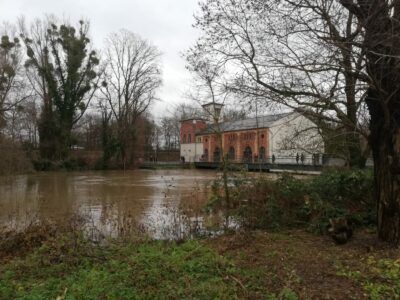 Wasserkunst 24.12.2023