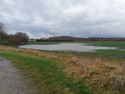 Wiese unter Wasser an der Fösse