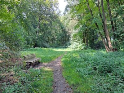 Ein Ort zum Ausruhen im Limmerholz