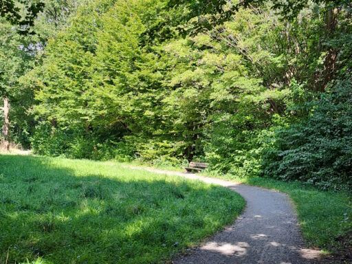Karl-Laue-Weg Süd