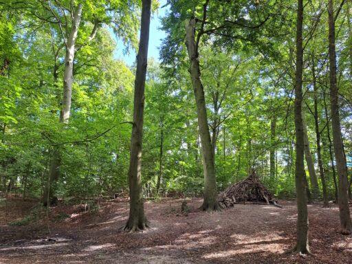Limmerholz Waldhütte