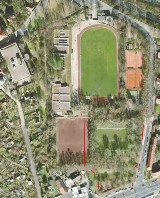Kastanien_Am_Spielfelde