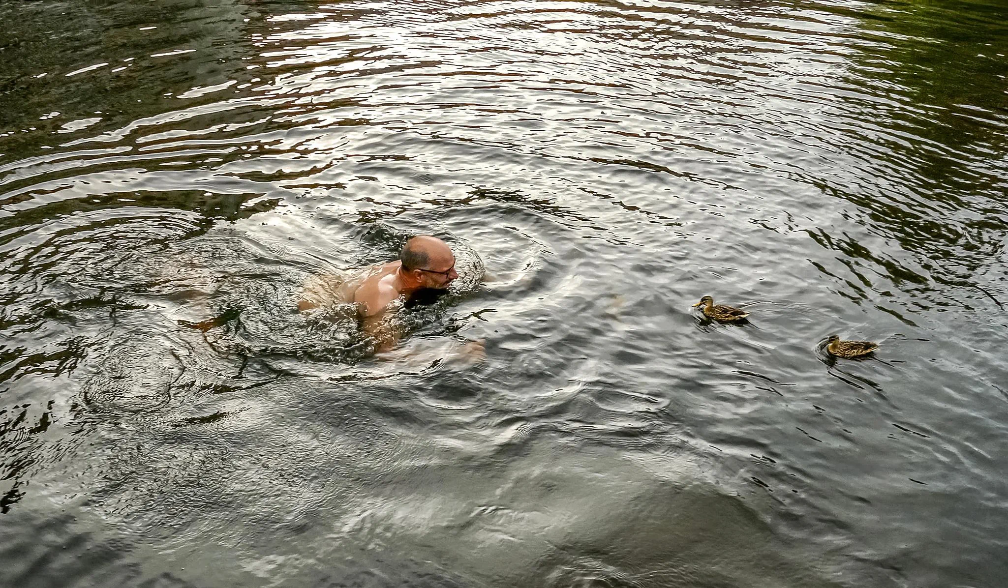 Pack die Badehose ein ... Schwimmen in der Leine 2025