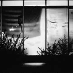 Vernissage: "DEAR MOURNING DOVE - Fragments of the Urban South”