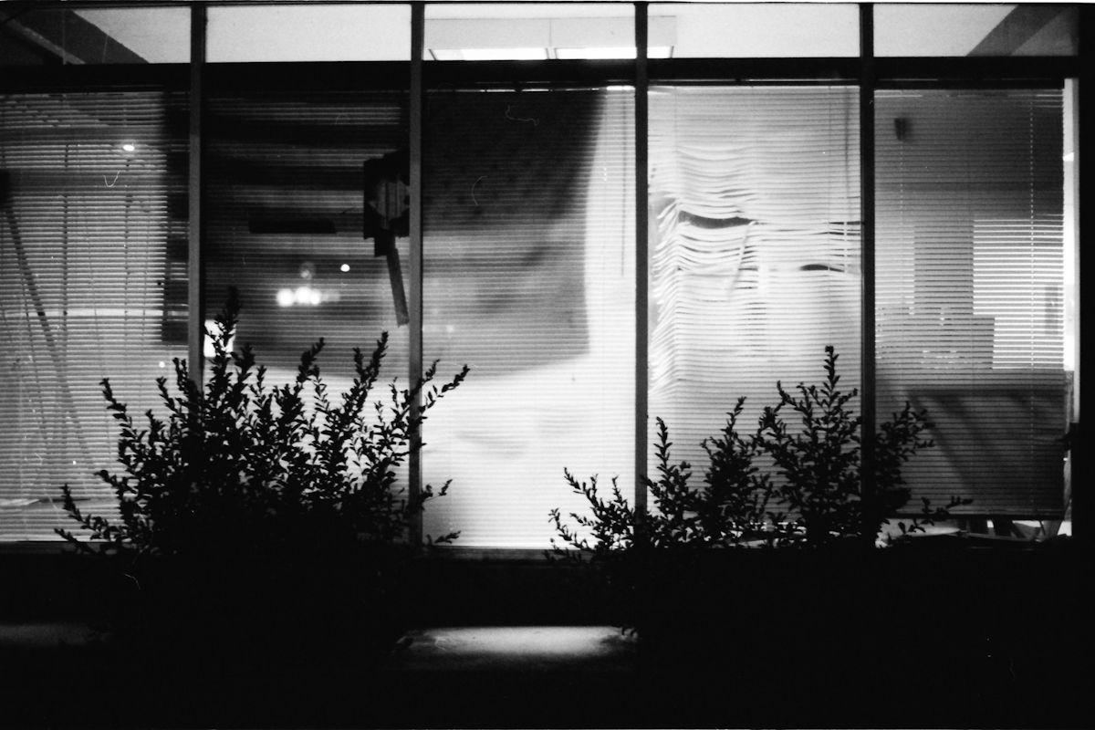 Vernissage: "DEAR MOURNING DOVE - Fragments of the Urban South”