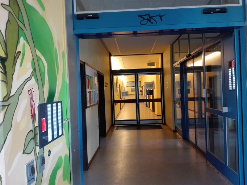 Gedächtnistraining und Bewegung mit Leichtigkeit und Freude