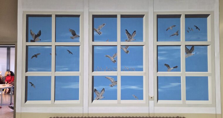 20251121_fenster zur insel