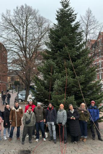 Tannenbaum auf dem Lindener Marktplatz