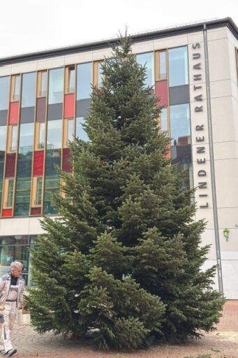 Tannengrün bis zum Boden