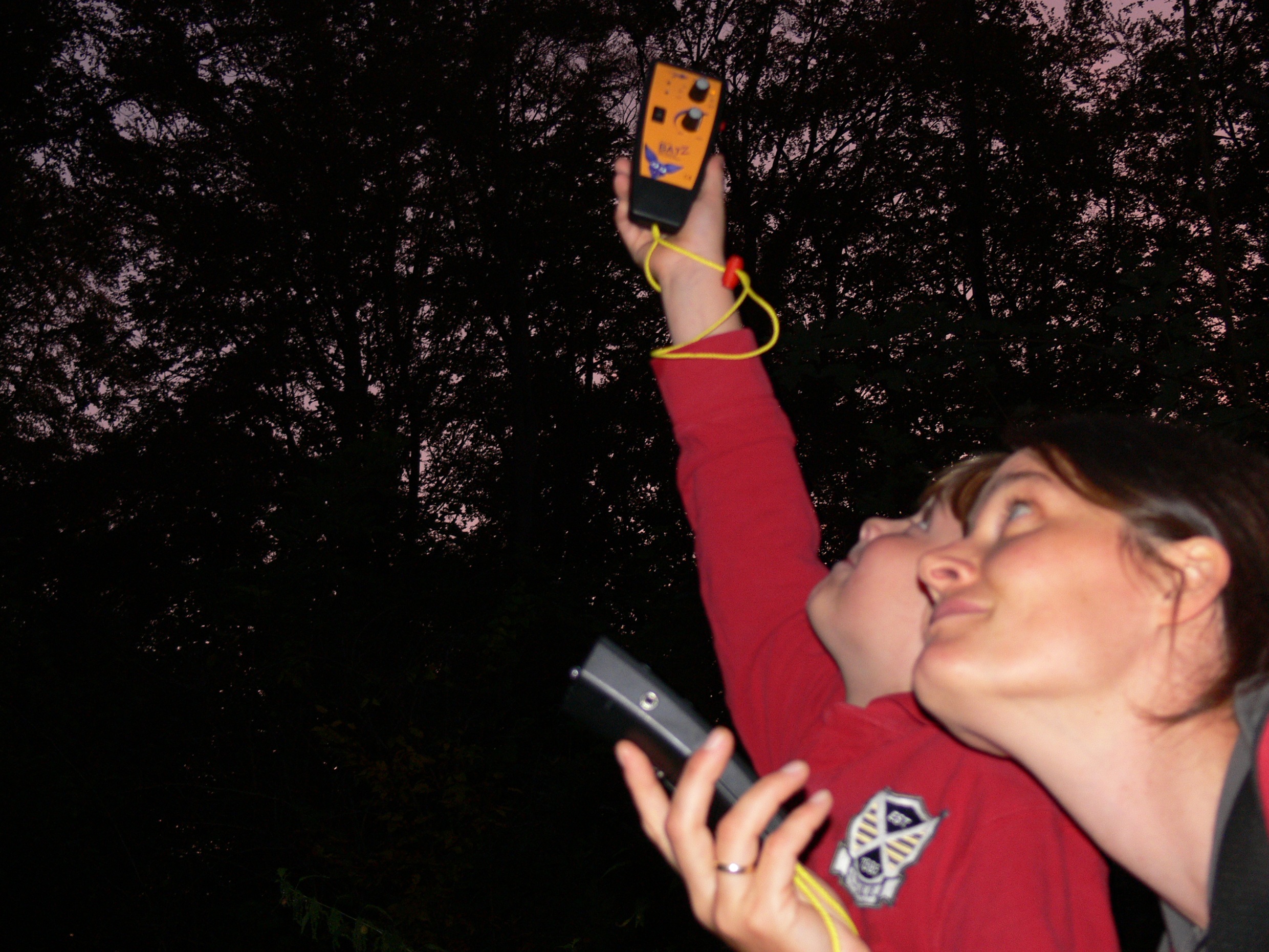 Kobolde der Nacht – Die Fledermaustour