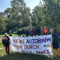 Infospaziergang gegen den Westschnellweg-Ausbau