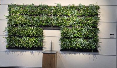 Green Wall in der Bibliothek der Hochschule Hannover in Linden-Süd.
